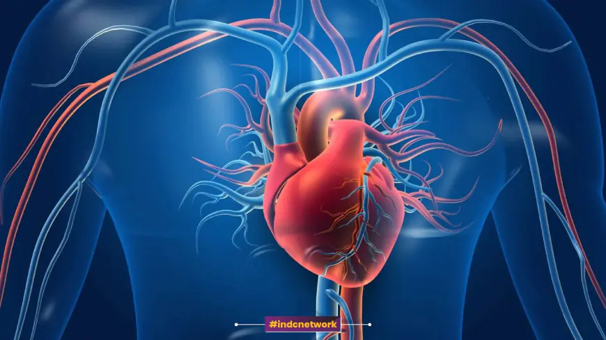 Understanding Coronary Artery Disease: Causes, Prevention, and Global Health Impact