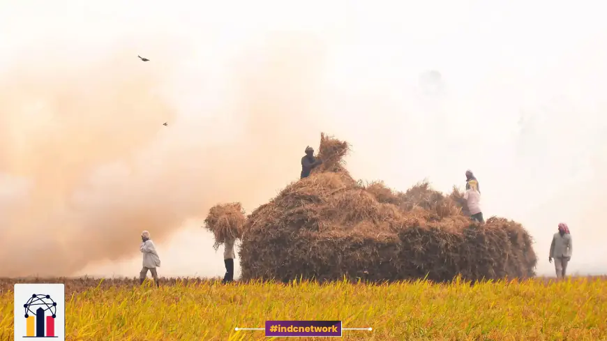 मौन संकट: कृषि संकट का खुलासा और वैश्विक खाद्य सुरक्षा के लिए इसके भयावह परिणाम