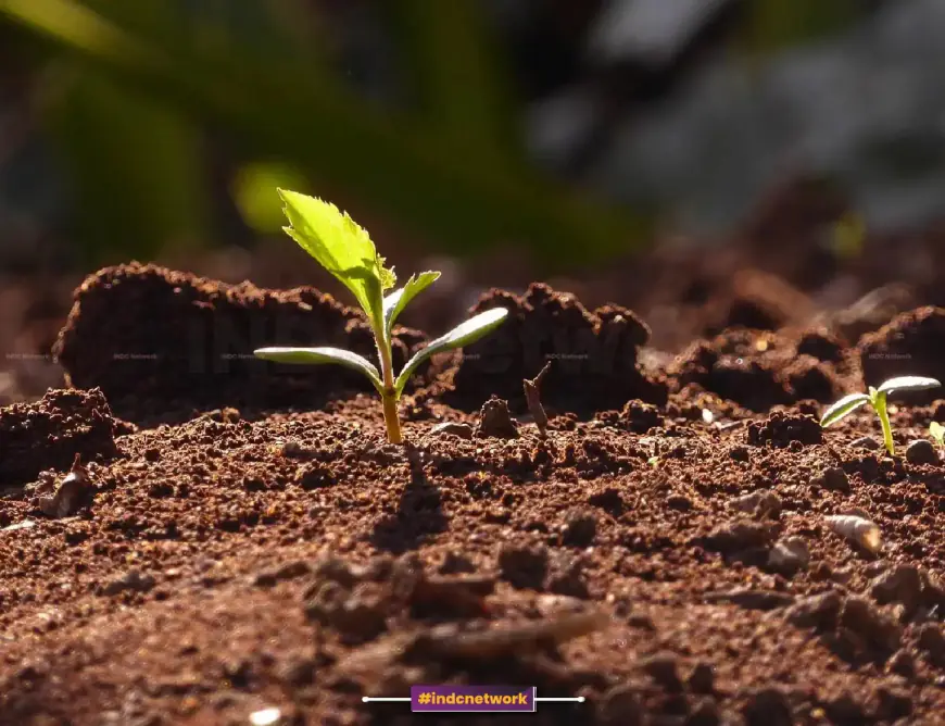 Is the Earth's future at risk? Learn the shocking truth about soil depletion and climate change!